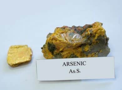 Toxicologia Do Arsênio