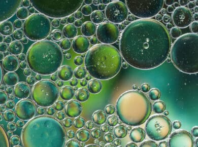 Bioconcentração e Fator de Bioconcentração (BCF)