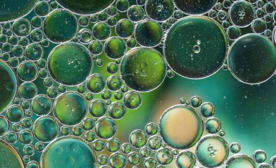 Bioconcentração e Fator de Bioconcentração (BCF)