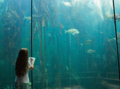 Como classificar misturas para o meio ambiente aquático