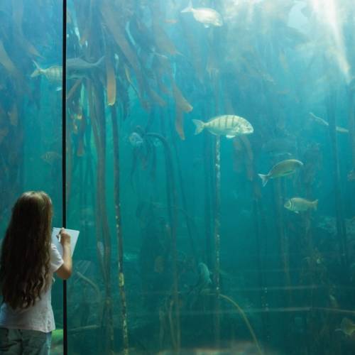 Como classificar misturas para o meio ambiente aquático: método da aditividade e método das somas