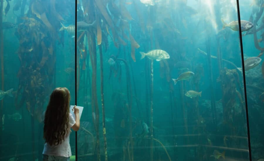 Como classificar misturas para o meio ambiente aquático